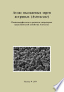 Атлас пыльцевых зерен астровых (Asteraceae). Палиноморфология и развитие спородермы представителей семейства Asteraceae