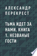 Тьма идет за нами. Книга 1. Незваные гости