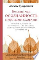 Больше, чем осознанность простыми словами. Простой и понятный путеводитель по джханам, или глубоким медитативным состояниям