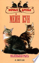 Мейн кун