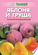 Яблоня и груша. Технология выращивания