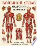 Большой атлас анатомии человека. Лучшие в мире анатомические таблицы