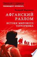 Афганский разлом. Истоки мирового терроризма. С предисловием Николая Старикова