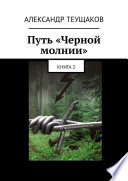 Путь «Черной молнии». Книга 2