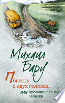 Повесть о двух головах, или Провинциальные записки