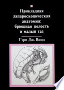 Прикладная лапароскопическая анатомия: брюшная полость и малый таз