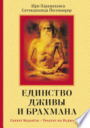 Единство Дживы и Брахмана. Секрет Веданты. Часть I