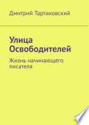 Улица Освободителей. Жизнь начинающего писателя