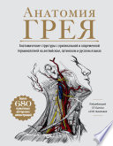 Анатомия Грея. Анатомические структуры с оригинальной и современной терминологией на английском, латинском и русском языках