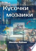 Кусочки мозаики. Почти документальные истории