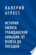 История пилота гражданской авиации. От взлёта до посадки