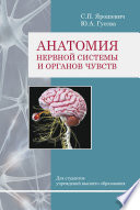 Анатомия нервной системы и органов чувств