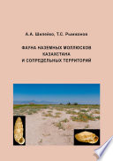 Фауна наземных моллюсков Казахстана и сопредельных территорий