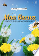 Моя весна