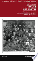 Пламя над Волгой. Крестьянские восстания и выступления в Тверской губернии в конец 1917–1922 гг.