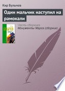 Один мальчик наступил на рамокали