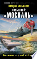 Позывной: «Москаль». Наш человек – лучший ас Сталина