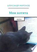 Мои котята. Дымка