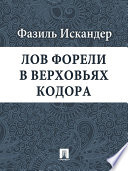 Лов форели в верховьях Кодора