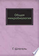 Общая микробиология