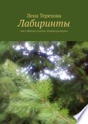 Лабиринты. Или таблетка счастья. Роман про жизнь