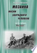 Мозаика жизни заурядного человека. Часть первая. Разбег