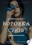 Воровка снов