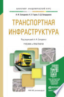 Транспортная инфраструктура. Учебник и практикум для академического бакалавриата