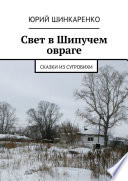 Свет в Шипучем овраге. Сказки из Сугробихи