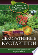 Декоративные кустарники