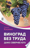 Виноград – это просто! Российские виноградники от юга до севера