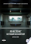 НАСПАС. Настоящий пассажирский. Дорожные байки