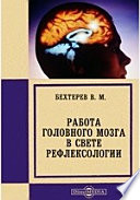 Работа головного мозга в свете рефлексологии