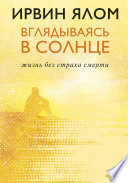 Вглядываясь в солнце. Жизнь без страха смерти