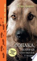 Собака, которая спустилась с холма. Незабываемая история Лу, лучшего друга и героя