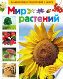 Мир растений