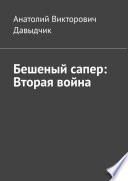 Бешеный сапер: Вторая война