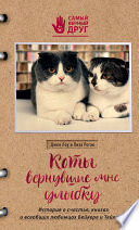 Коты, вернувшие мне улыбку. История о счастье, книгах и всеобщих любимцах Бейкере и Тейлоре