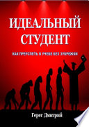 Идеальный студент. Как преуспеть в учебе без зубрежки