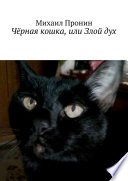 Чёрная кошка, или Злой дух