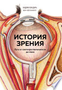 История зрения: путь от светочувствительности до глаза