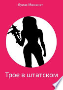 Трое в штатском. Иронический детектив