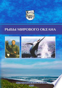 Рыбы Мирового океана. Лекционный курс