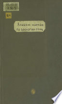 Альбом картин по зоологии птиц