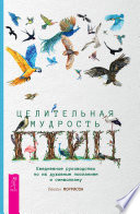 Целительная мудрость птиц. Ежедневное руководство по их духовным посланиям и символизму